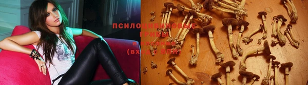 гидропоника Бугульма