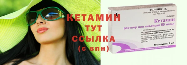 твердый Богданович