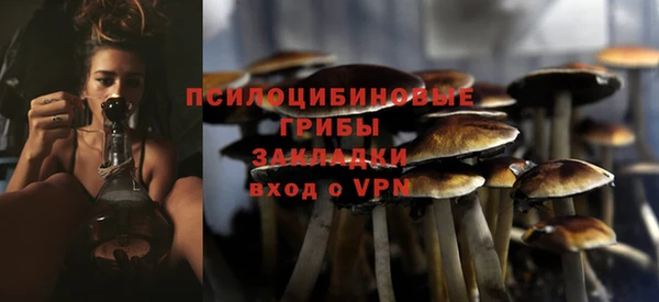 гидропоника Бугульма