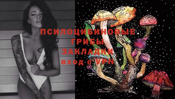 круглые Богородицк