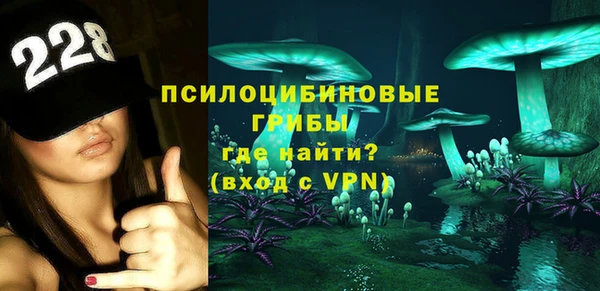 гидропоника Бугульма